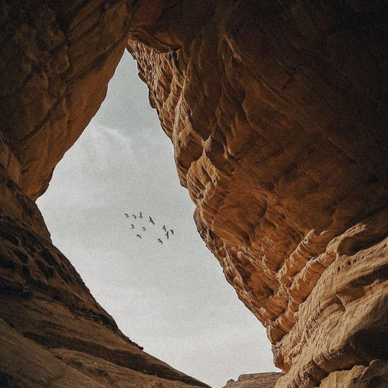 Nuée d'oiseaux vue à travers l'entrée d'une grotte