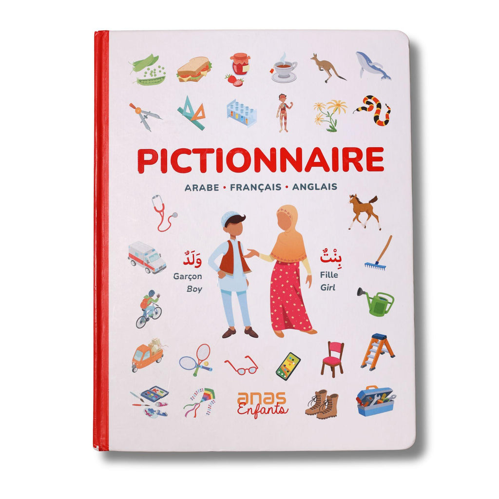 Pictionnaire